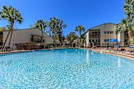 Large swimming pool in front of a building with palm trees.
