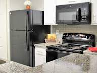 A black refrigerator with a vase of flowers on top.
