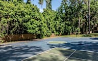 Basketball court surrounded by trees and a fence.