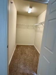 A white closet with a brown carpet and a white door.