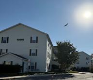 A bird flies in front of a building with the number 1000 on it.
