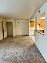 A room with a carpeted floor and a kitchen area in the background.