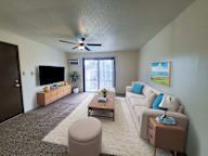 A living room with a grey carpet and a brown sofa.