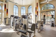 Gym at Aria Apartments with fitness equipment and cardio machines