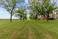 A grassy field with trees and apartment buildings in the background.