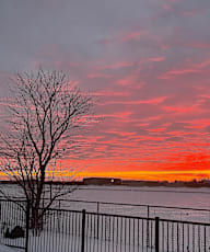 A tree stands in front of a fence with a sunset in the background.