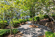 A tree-lined driveway leads to a house.
