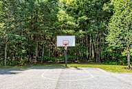 A basketball court surrounded by trees.