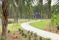 A pathway is surrounded by greenery and trees at Saltaire Apartment Homes in Santa Rosa Beach, FL