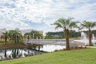 A modern building is surrounded by palm trees and a fountain.