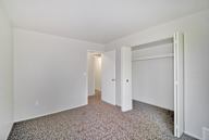 a carpeted bedroom with large closet