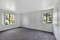 A large empty room with two windows and carpeted floor.