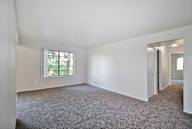 A large empty room with a window and carpeted floor.
