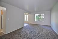 A room with a carpeted floor and two windows.