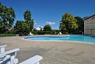 A pool surrounded by trees and chairs.