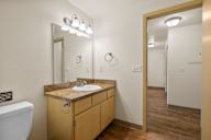 a bathroom with a mirror and a sink and a toilet