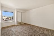 an empty room with a window and a carpeted floor