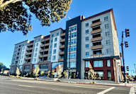 A modern multi-story building named Blue Oak Solitaire is situated on a street corner.