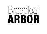 Broadleaf Arbor