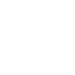 Topaz Springs logo