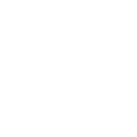 Village Fair