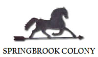 Springbrook Colony Condominiums