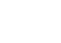 Wellington at Willow Bend