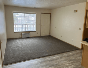 an empty living room with a window and a door