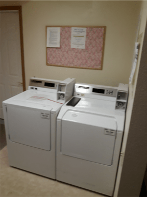 Apple Tree Laundry Room