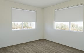 A room with two windows and a carpeted floor.