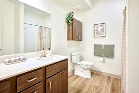 a bathroom with a toilet and a sink and a mirror