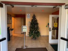 Reedville Christmas Tree