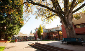 Montebello Courtyard