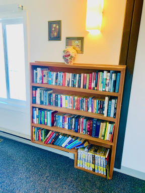 a bookcase filled with books on a blue carpeted floor