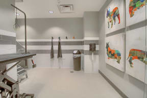 Pet Wash 2