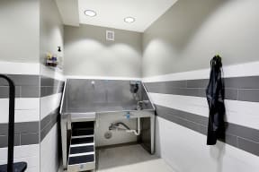 Pet Wash