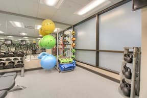 Fitness Bosu