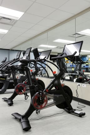Peloton