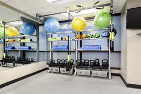 RAX System