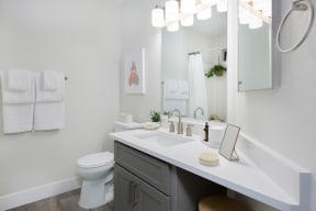 a bathroom with a sink and a toilet