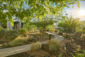 a view of a garden with trees and a pathway