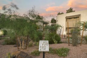 botanical garden