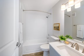 Spa Inspired Bathroom at Terra Vista at the Park Apartments, Colorado