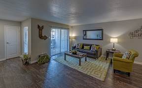 A living room with a couch, chair, and rug.