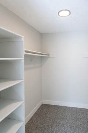 Spacious Closet at Terra Vista at the Park Apartments, Littleton, CO
