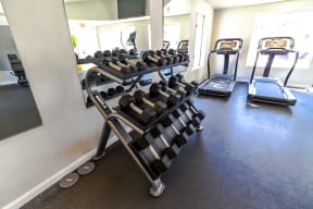 our state of the art gym is fully equipped with free weights and cardio equipment