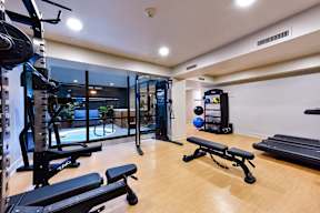 A gym with a variety of equipment including a squat rack, bench, and weights.