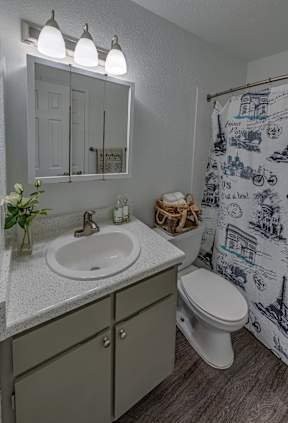 A bathroom with a white sink, a mirror, a toilet, and a shower curtain with a pattern.