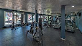 A gym with treadmills, elliptical machines, and other exercise equipment.