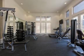 a gym with weights and cardio equipment